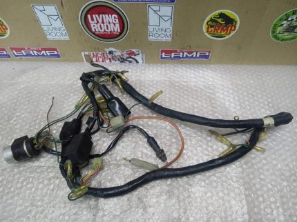 Honda MTX 80 WIRING HARNESS